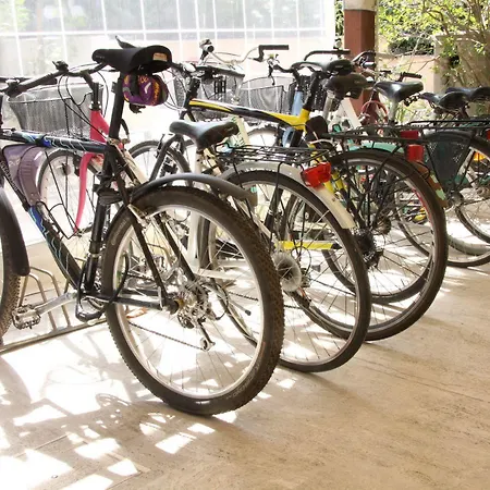 Tilly 3* 체제나티코